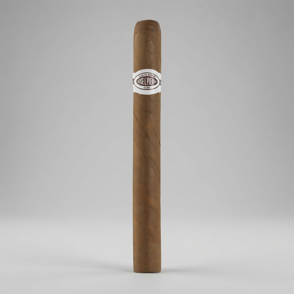 A single brown cigar standing vertically on a light gray background, featuring a white band with the 'Cigar Republic' logo near the upper center.