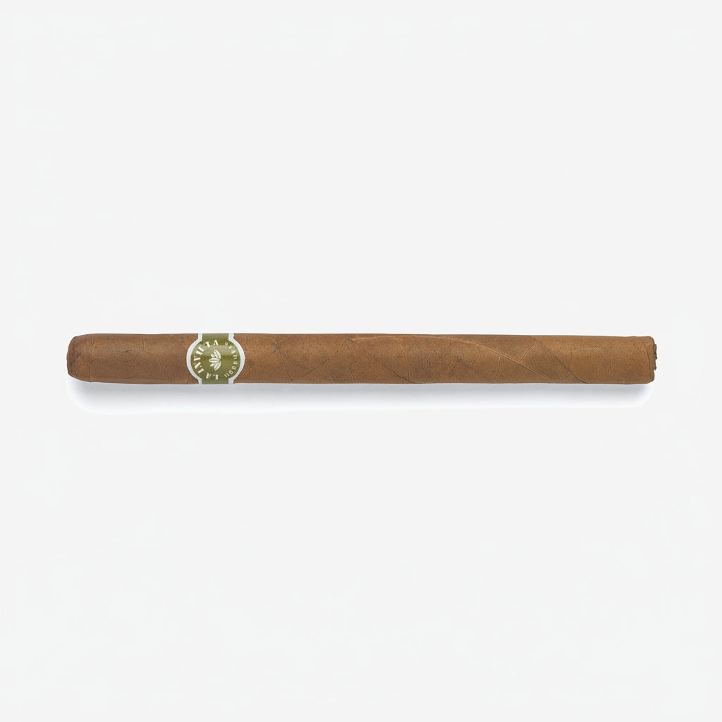 Cigar with a visible brand logo on a white background