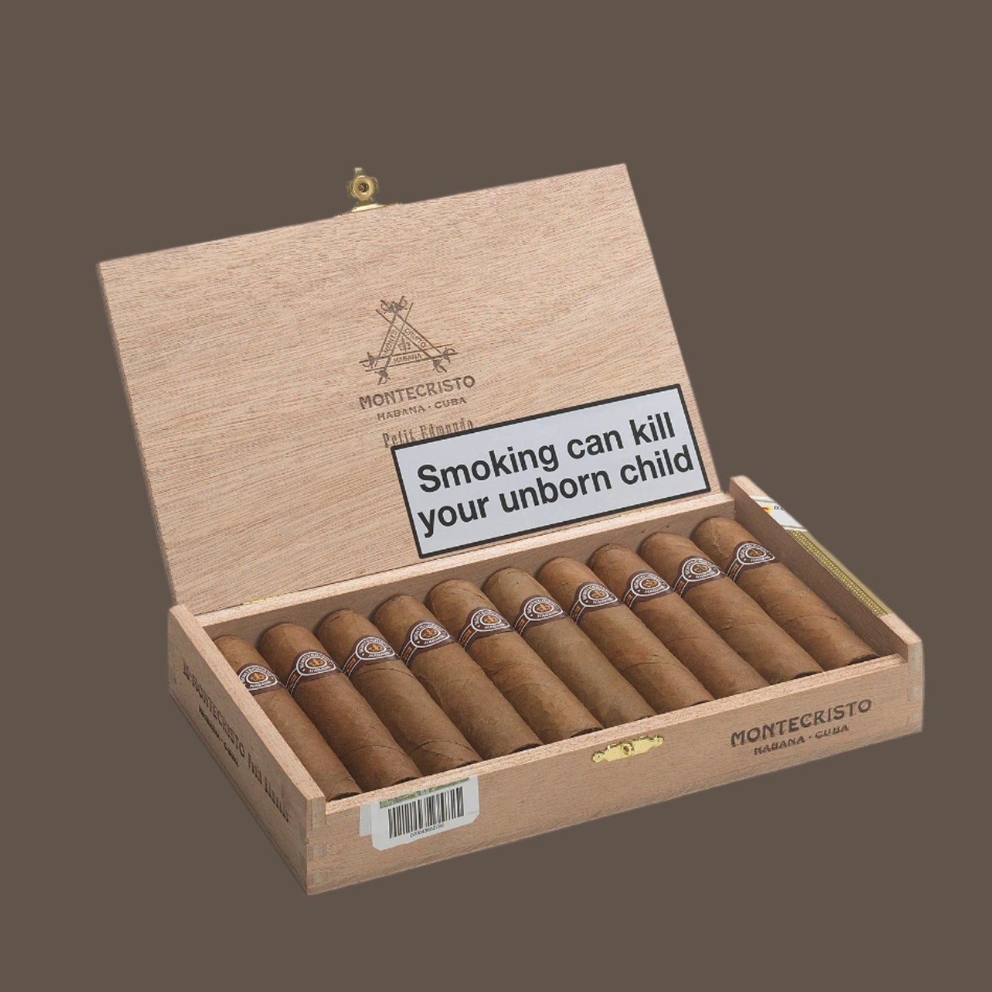 MontecristoPetitEdmundo