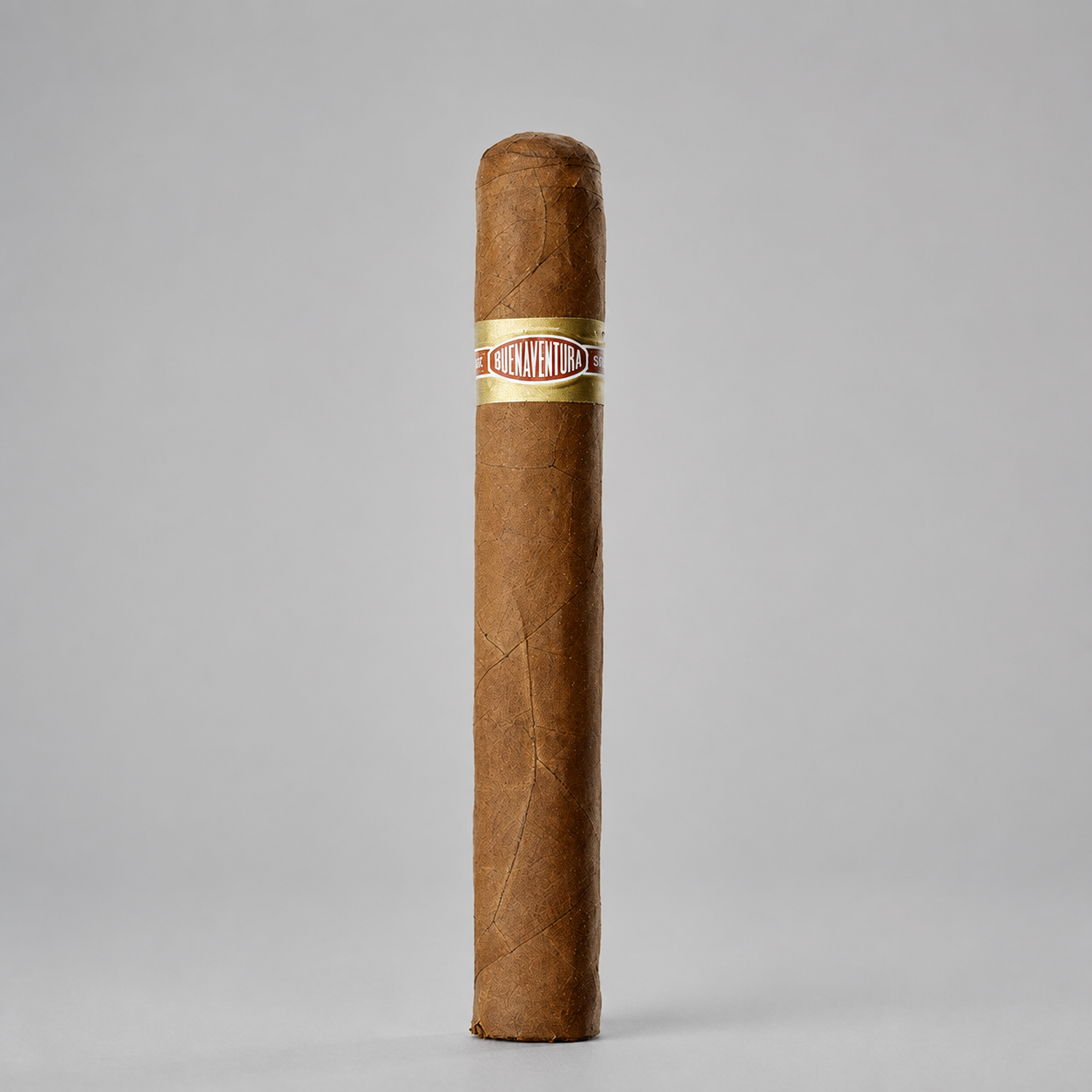 A single Buenaventura BV500 cigar standing upright against a light gray studio background, with a gold band featuring red and white text around the middle.