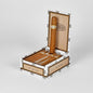 A box of Buena Vista 10 BV 500 premium cigars, shown open with a single cigar standing upright inside. The cigars are wrapped in a warm brown tobacco leaf, and the packaging features a white and light wood exterior with the Buena Vista logo.