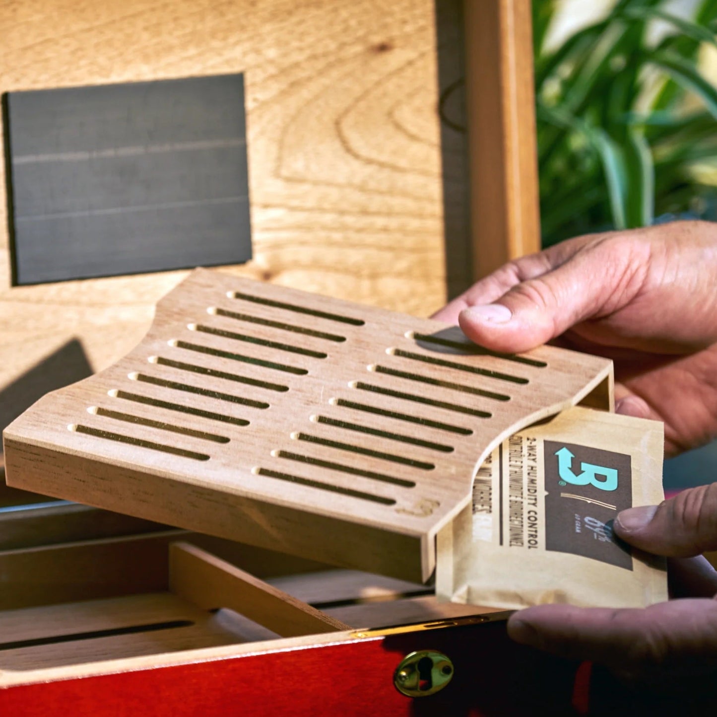 Wooden tea box with a hand opening it, revealing a tea bag.