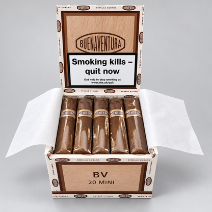 An open box of Buena Ventura 20 Mini cigars on a light gray background. The box contains five cigars wrapped in brown paper with gold bands, and the inside lid features a prominent health warning label.