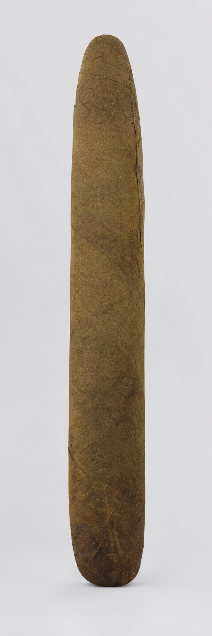 A single long, slender brown cigar leaf or cigar body standing upright against a plain light gray studio background.
