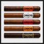 Five Camacho cigars with different colored bands on a white background