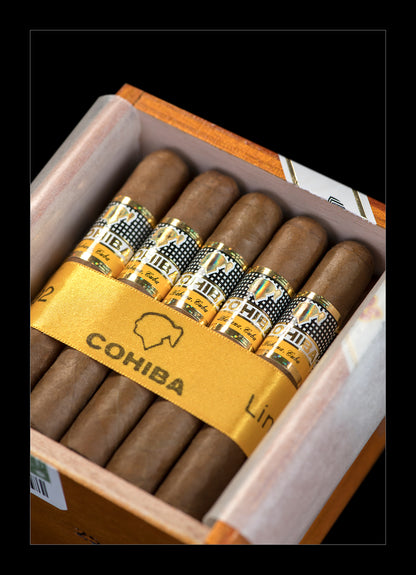 A close-up of an open Cohiba cigar box showing several brown cigars with gold and black bands, set against a black background.