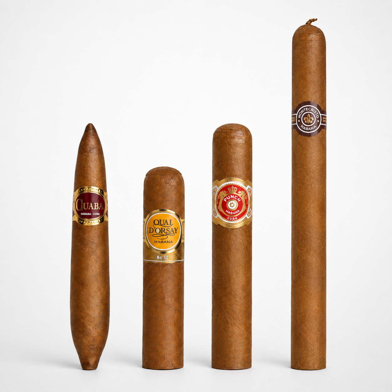 Four brown cigars of varying sizes standing upright against a clean white background, each with a gold and red band label.
