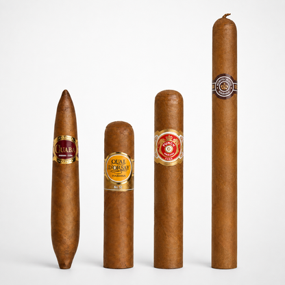 Four brown cigars of varying sizes standing upright against a clean white background, each with a gold and red band label.