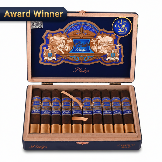 Open cigar box with cigars inside on a white background