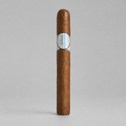 A single brown cigar standing upright on a light gray background, featuring a silver band with a colorful iridescent map design in the center.