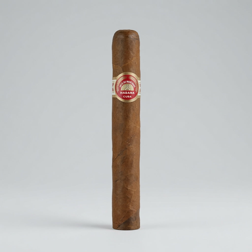 A single brown cigar standing upright against a light gray studio background, featuring a red and gold Habano band.