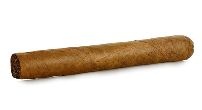 Cigar on a white background