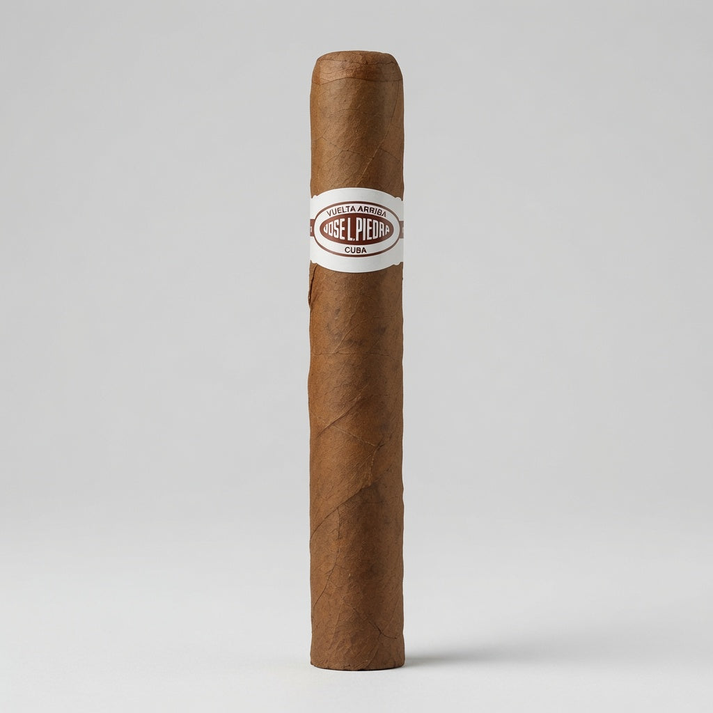 A single brown cigar standing upright on a light gray studio background, with a white band labeled 'Seelbacher' and 'Cigar' around the middle.