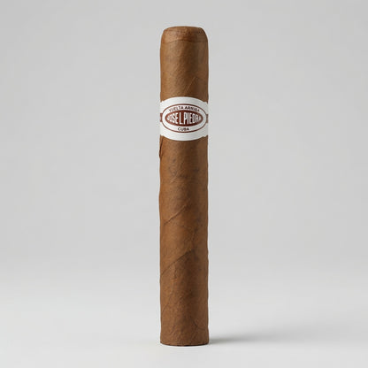 A single brown cigar standing upright on a light gray studio background, with a white band labeled 'Seelbacher' and 'Cigar' around the middle.