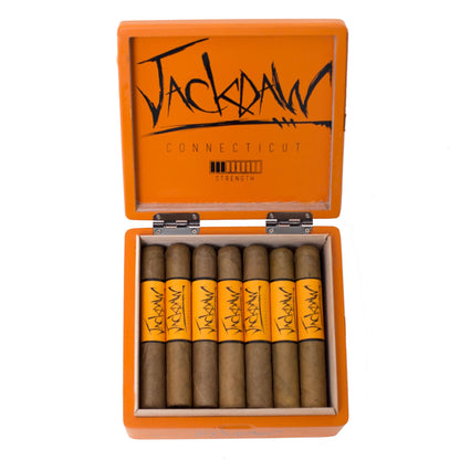 Open orange box of Jackdaw Connecticut cigars on a white background