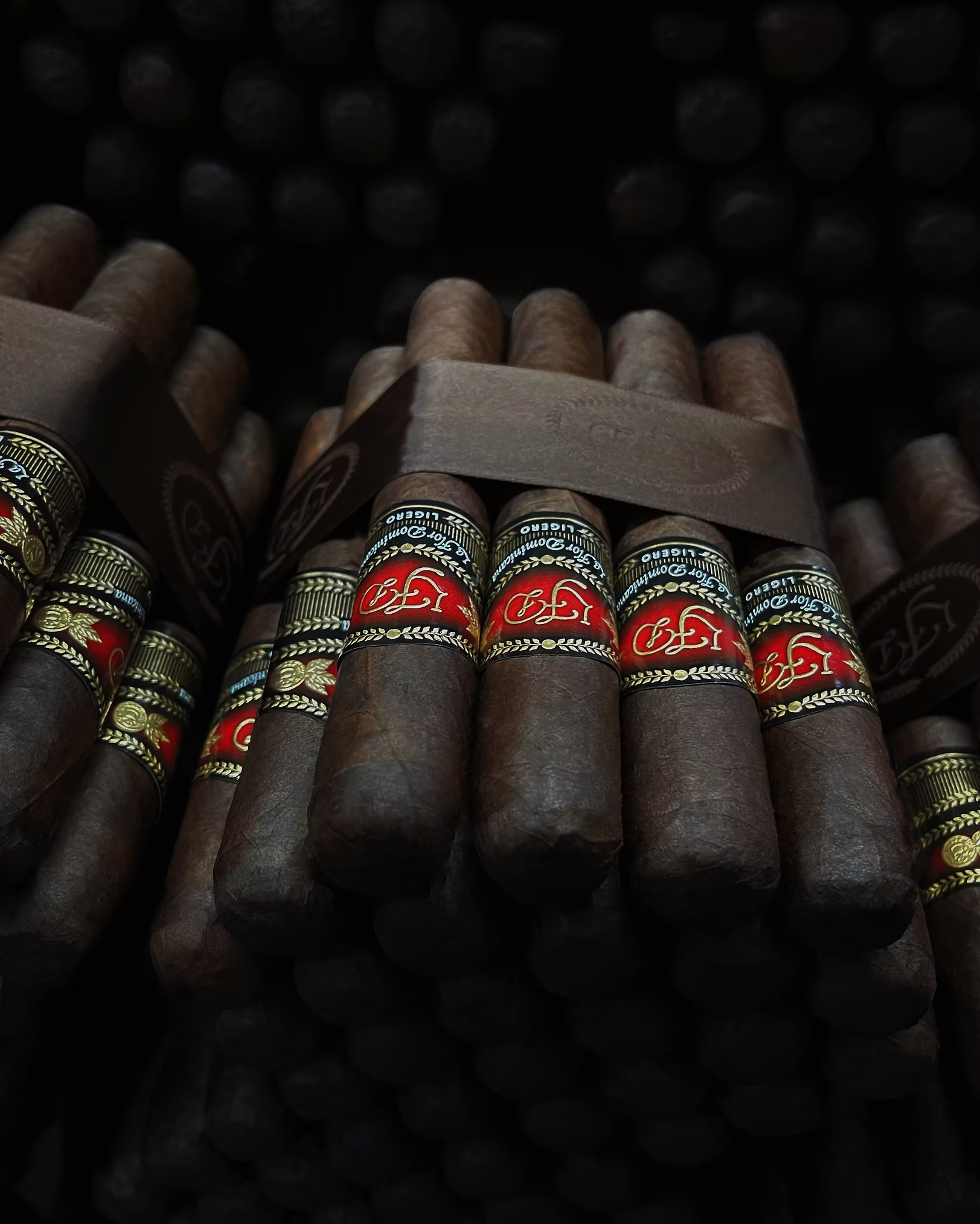Close-up of cigars with visible band designs on a dark background