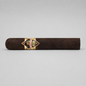 A single dark brown cigar with a gold and black diamond-shaped band reading PRINCESS, photographed horizontally against a light gray background.