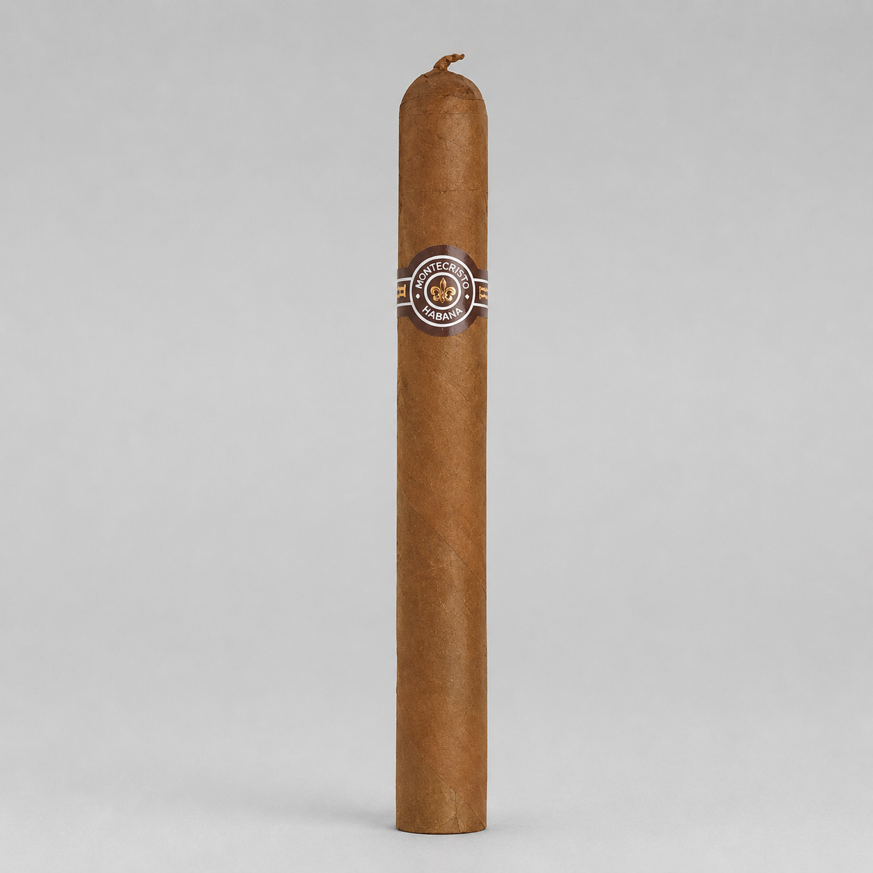 A single brown cigar standing upright against a light gray studio background, with a circular band around the middle showing the G-100 brand logo.
