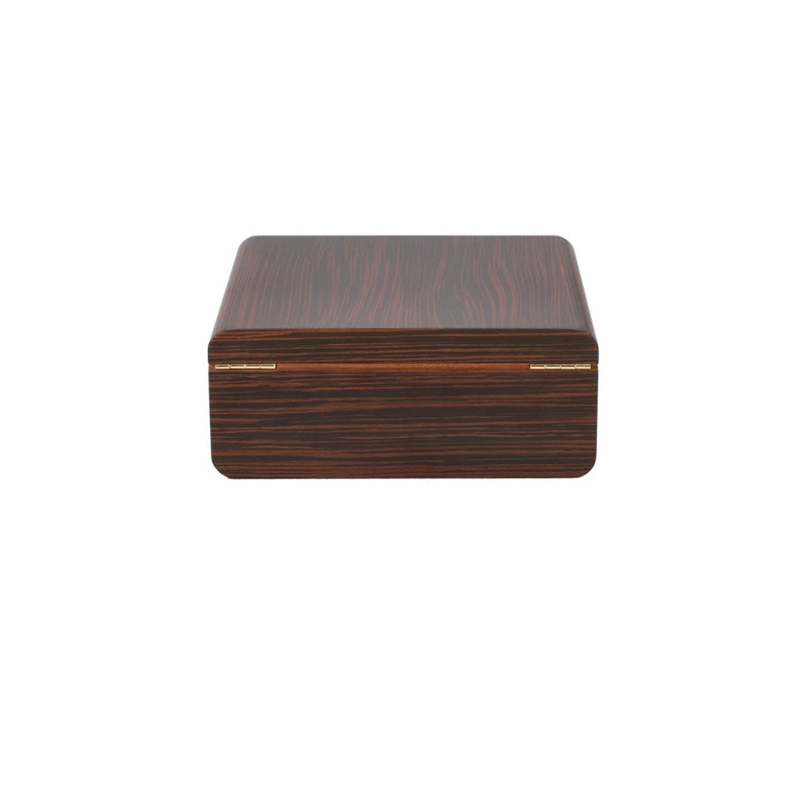 Closed rear of humidor on white back ground