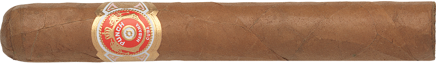 Punch Cigar with a visible label on a white background