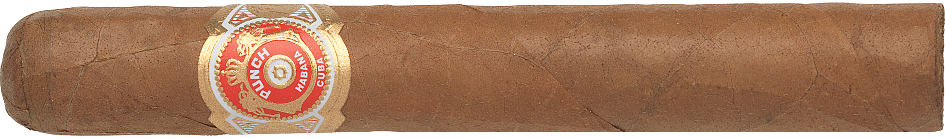 Punch Cigar with a visible label on a white background