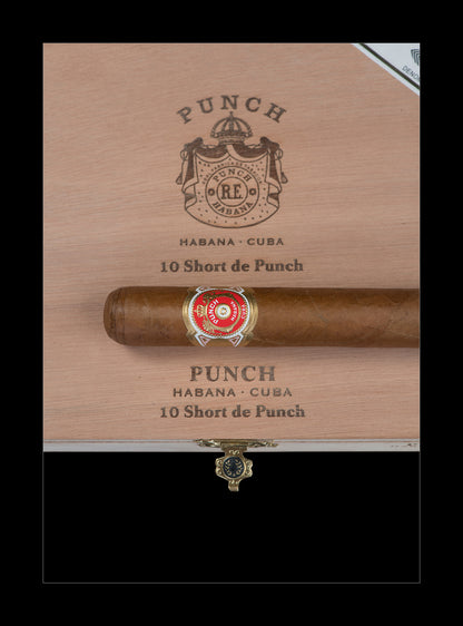 A single cigar resting horizontally on a branded wooden box lid. The cigar has a brown body with a red, gold, and white band, and the box is light tan wood with black printed text reading 'PUNCH HABANA - CUBA 10 Short de Punch.