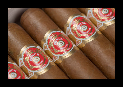 Close-up of several brown cigar tubes with red and gold rings labeled PUNCH Habana.