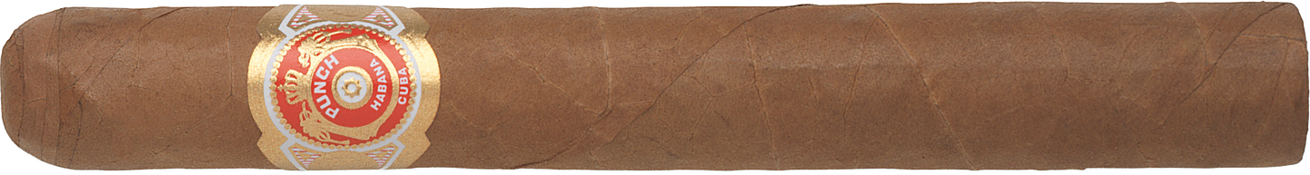 Punch Cigar with a visible label on a white background