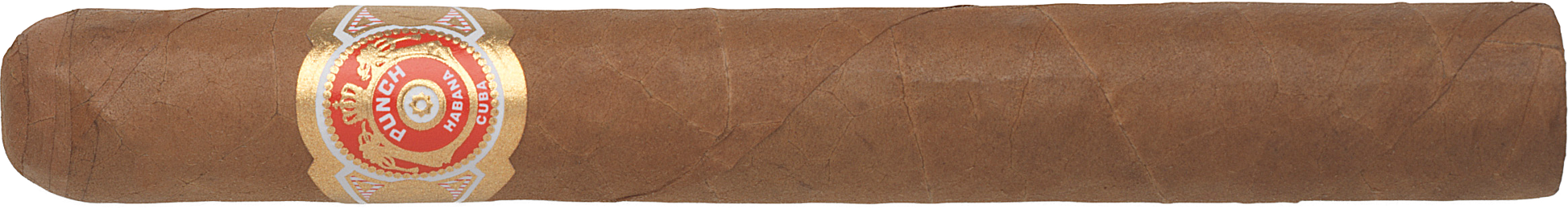 Punch Cigar with a visible label on a white background