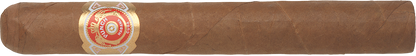 Punch Cigar with a visible label on a white background
