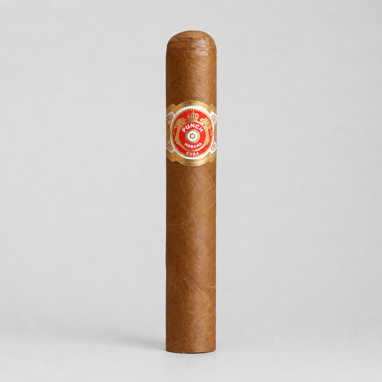 A single brown cigar standing upright on a light gray background, featuring a red and gold Tunica band label around the middle.