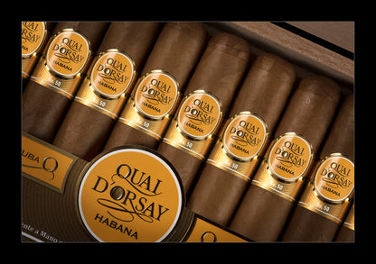 A close-up of several cigars in a wooden presentation box, each with a gold band labeled 'Qual Dorsay Habana' and 'Cuba'.