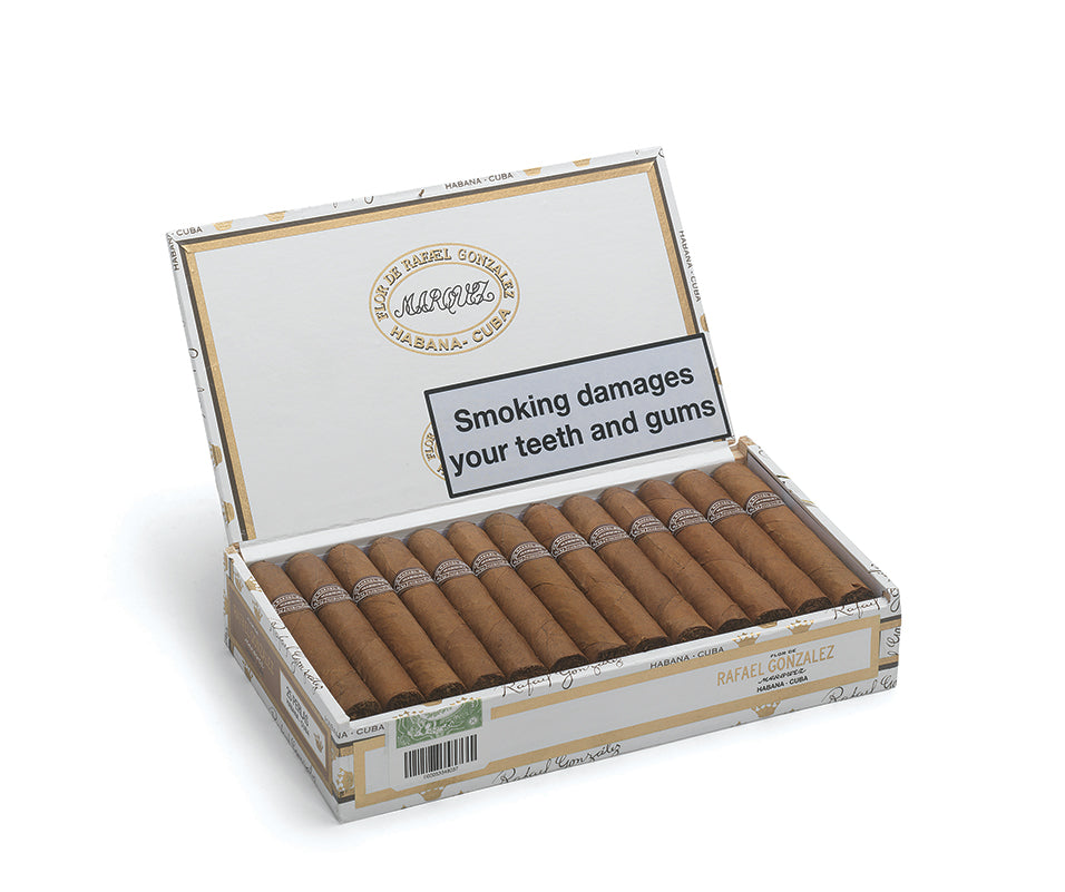 An open box of Habibi Convey cigars on a white background, showing the cigars inside and the brand logo on the inner lid.