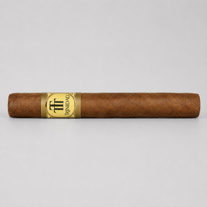 A single brown cigar with a gold and black Triunfo band, photographed horizontally against a neutral light gray background.