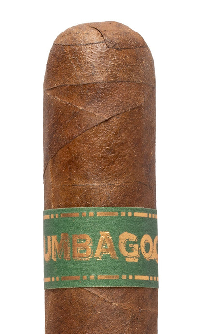 CloseUp of Umbagog-Bronzeback