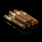 Cohiba Wide short cigar with a gold band on a black background - 6 bundle