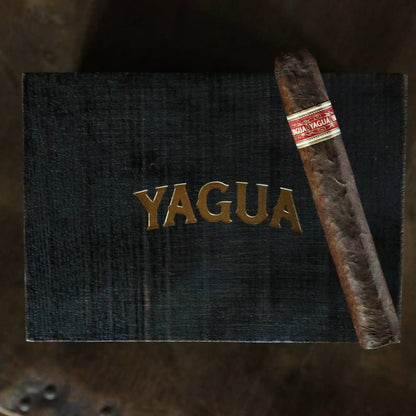 J.C. Newman YAGUA Cigar | Limited Release