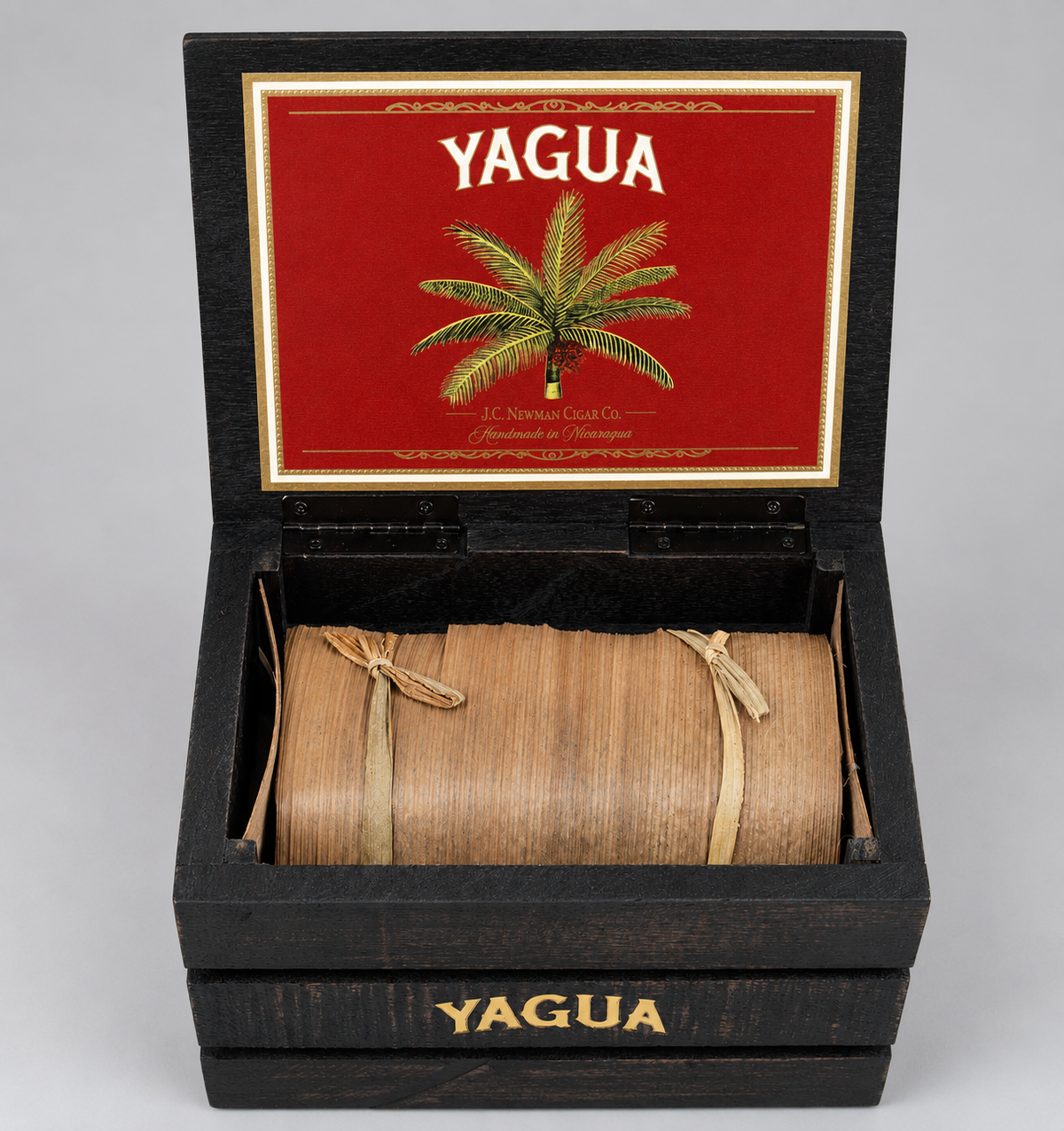 Open Yagua Cigar boxm, cigars bundle wrapped in bannana leaf with twine, white studio background