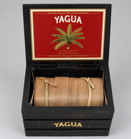 Open Yagua Cigar boxm, cigars bundle wrapped in bannana leaf with twine, white studio background