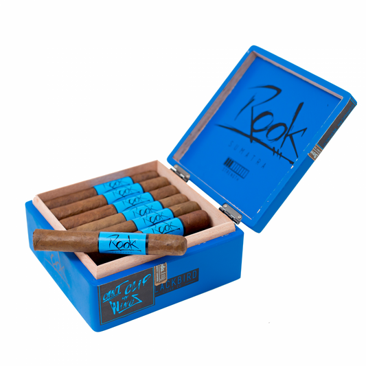 Open blue box of Rook cigars with cigars inside on a white background
